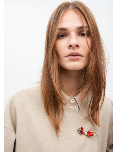 Broche dorado con cristales combinados Lola Casademunt